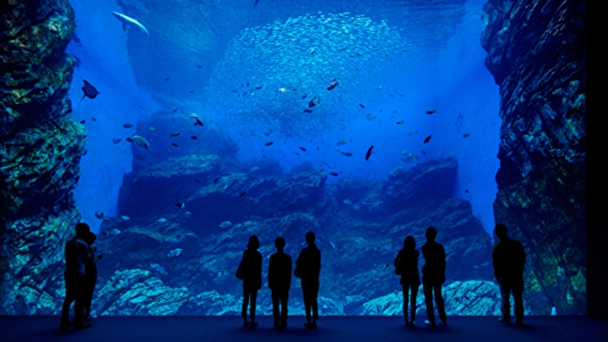 ★仙台うみの杜水族館ご利用引換券付きプラン★【素泊まり】